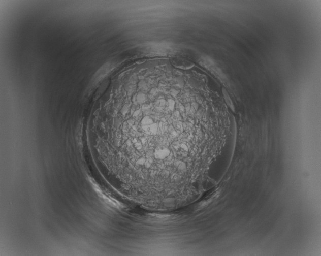 X0000068290058200604211148