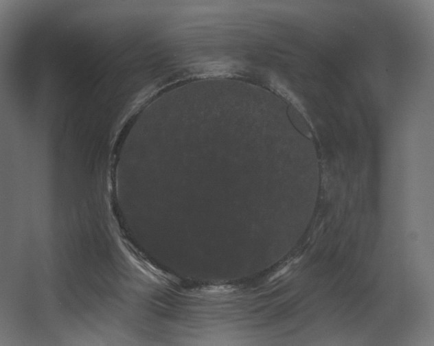 X0000068290059200604211148