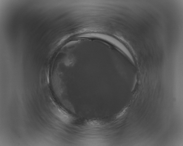 X0000068290062200604211148