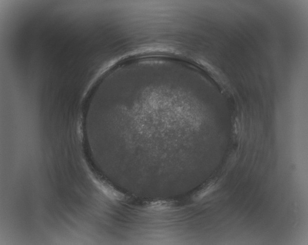 X0000068290064200604211148