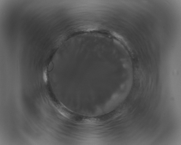 X0000068290069200604211148