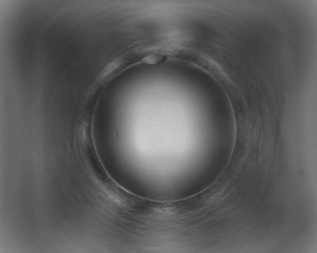X0000068290071200604211148
