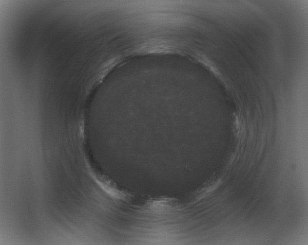 X0000068290072200604211148