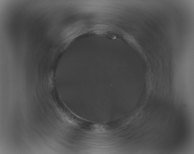X0000068290073200604211148