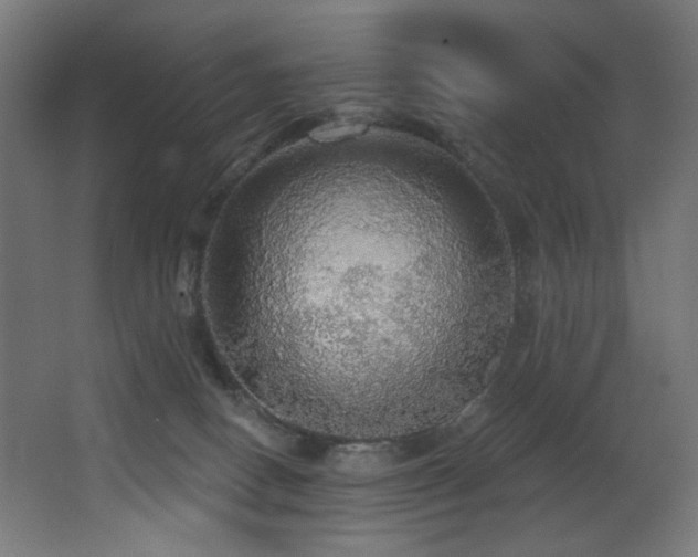X0000068290082200604211148