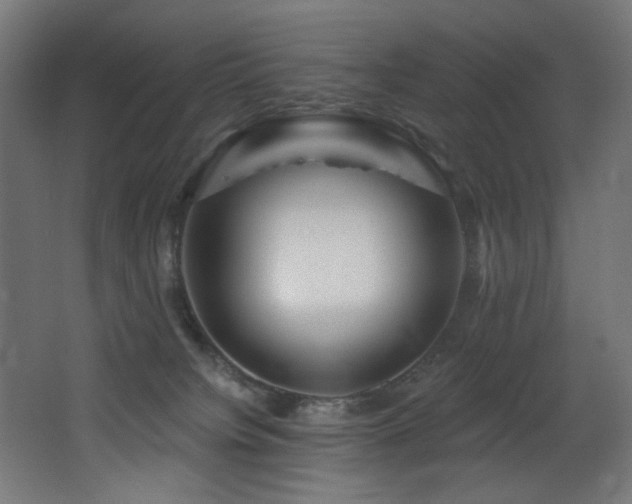 X0000068290084200604211148