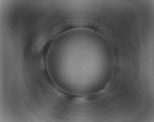 X0000068290086200604211148