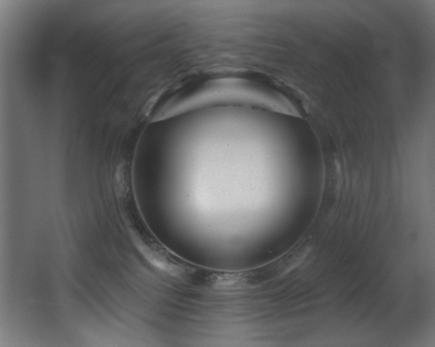 X0000068290088200604211148