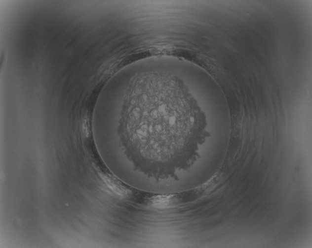 X0000068290090200604211148