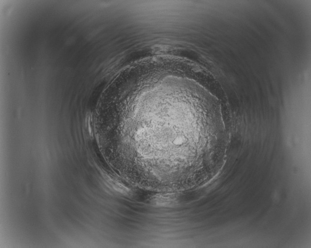 X0000068290094200604211148