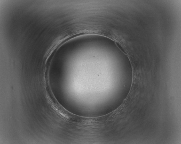 X0000068290098200604211147