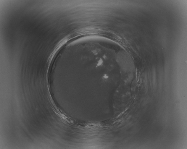 X0000068290099200604211147