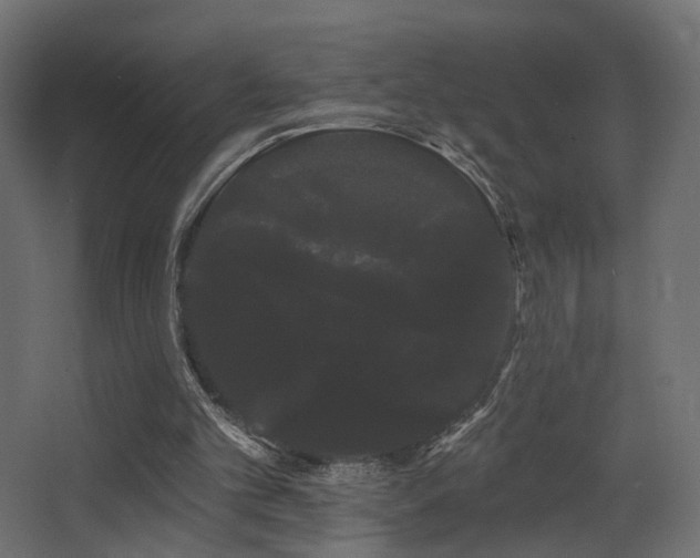 X0000068290101200604211147