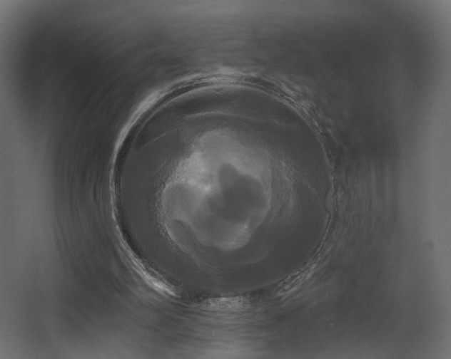 X0000068290102200604211147