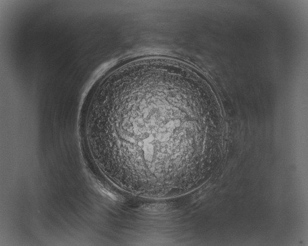 X0000068290104200604211147