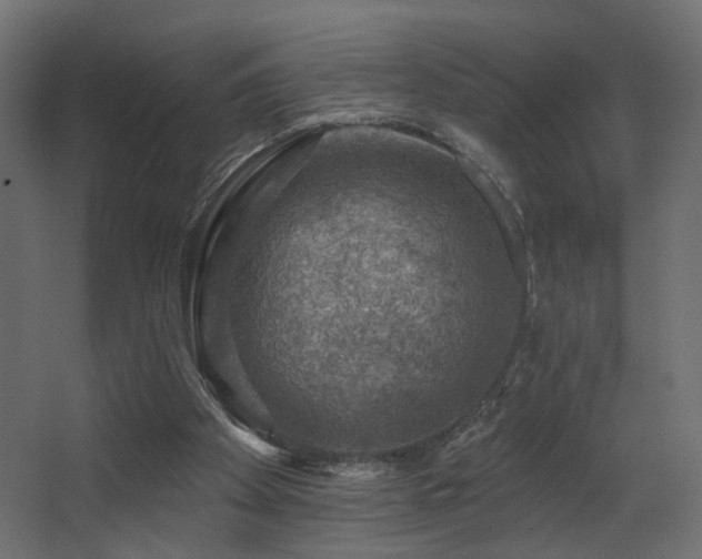 X0000068290105200604211147