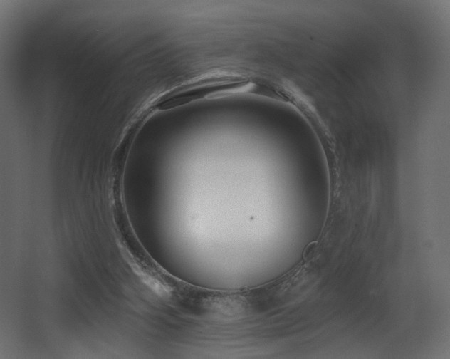 X0000068290106200604211147