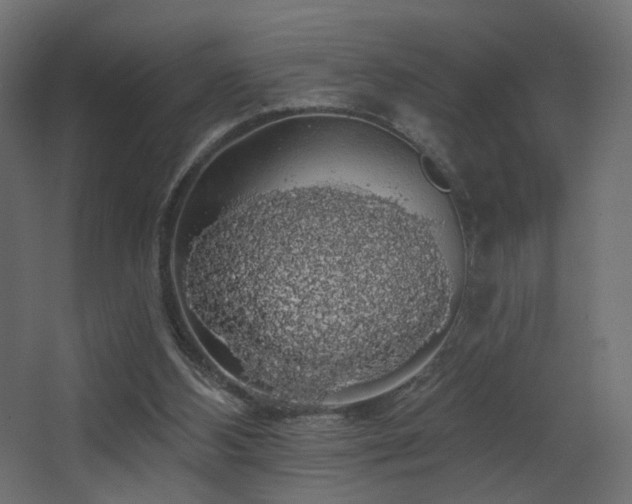 X0000068290108200604211147