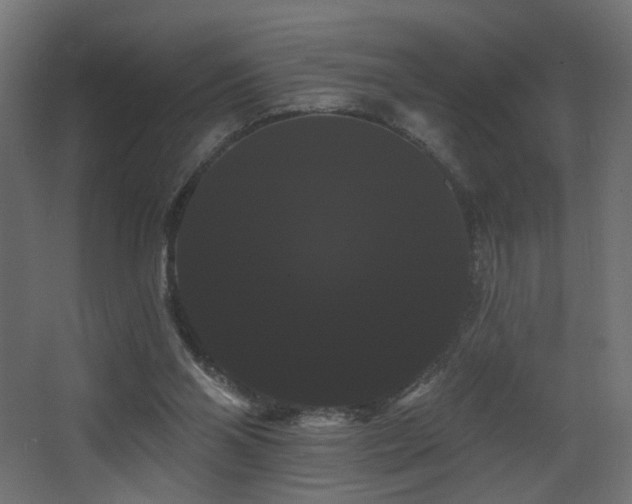 X0000068290110200604211147