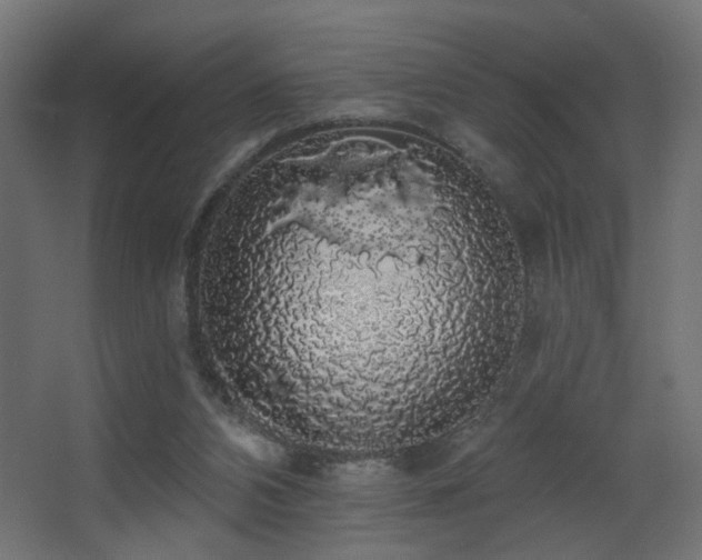 X0000068290112200604211147