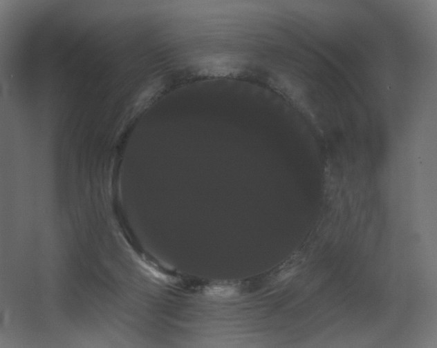 X0000068290114200604211147