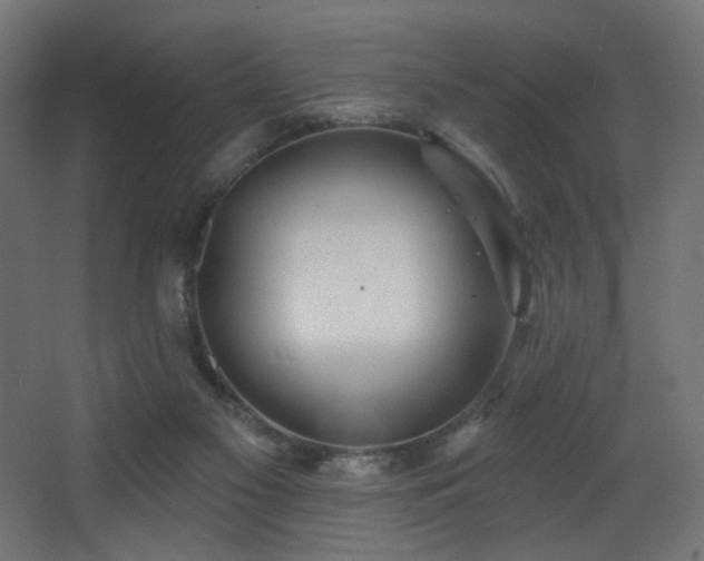 X0000068290117200604211147