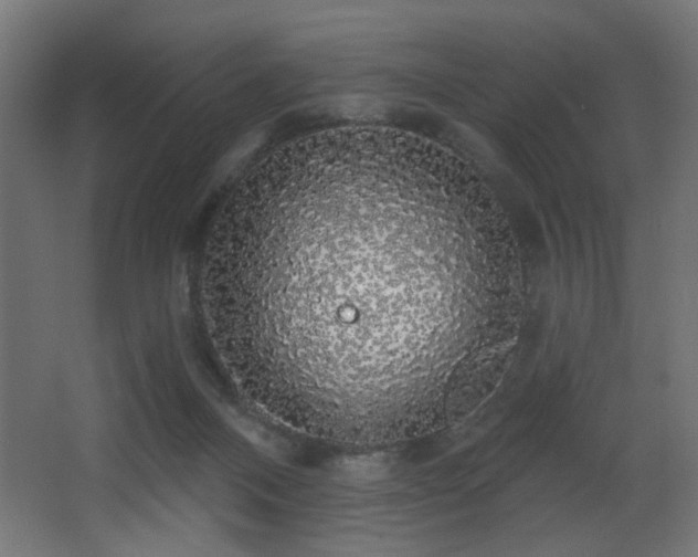 X0000068290120200604211147
