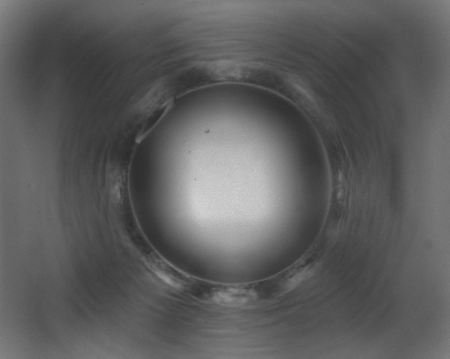 X0000068290125200604211147
