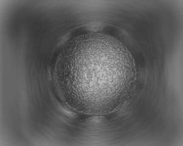 X0000068290128200604211147