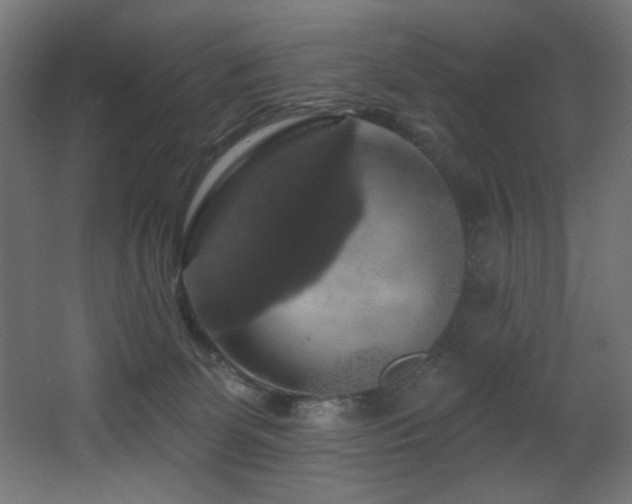 X0000068290131200604211147