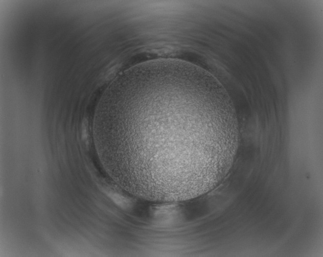 X0000068290132200604211147