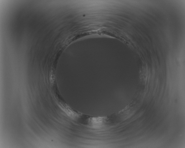 X0000068290134200604211147