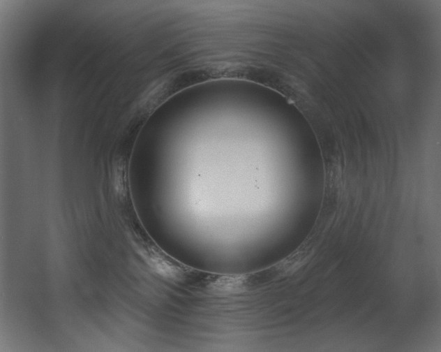 X0000068290138200604211147