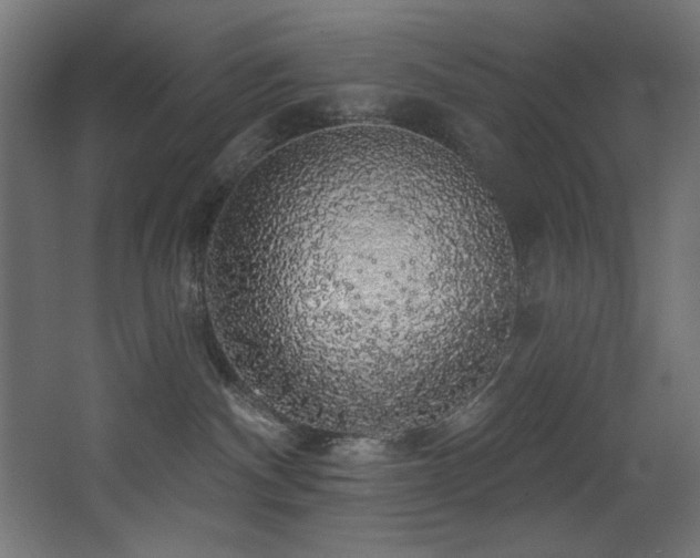 X0000068290140200604211147