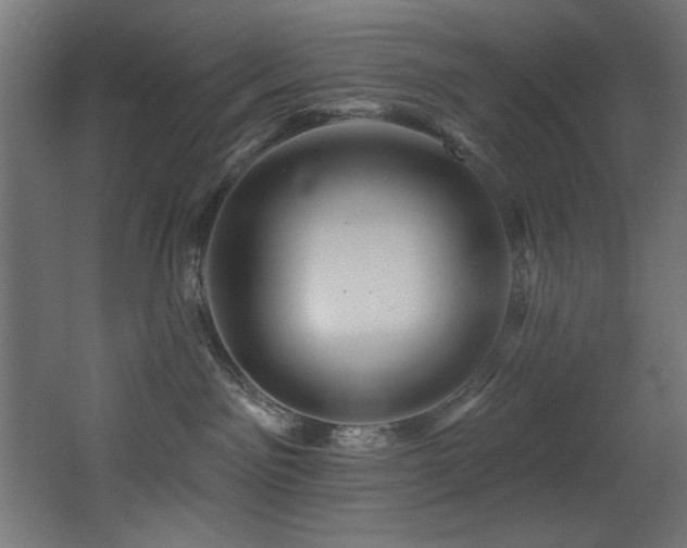X0000068290141200604211147