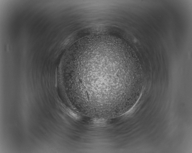 X0000068290144200604211147