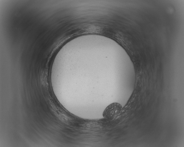 X0000068290146200604211146