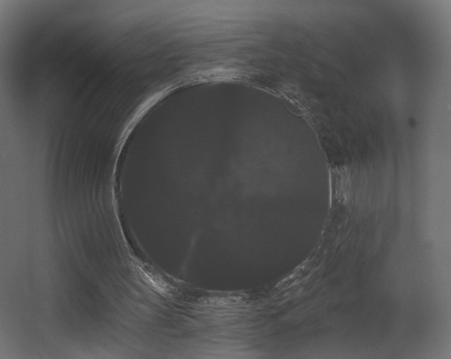 X0000068290147200604211146