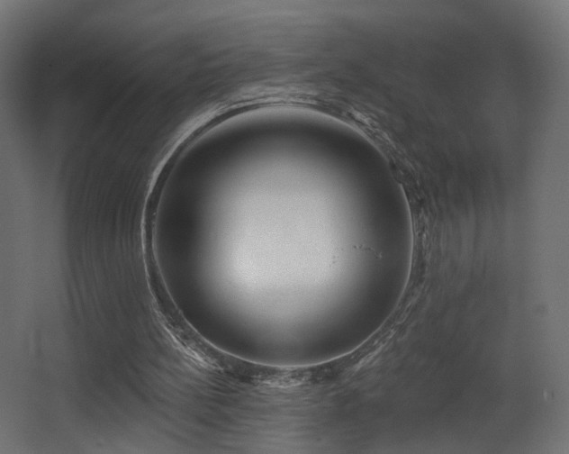 X0000068290148200604211146