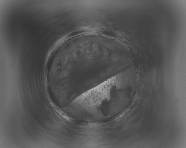 X0000068290149200604211146