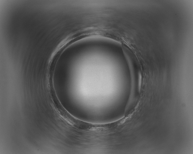 X0000068290150200604211146