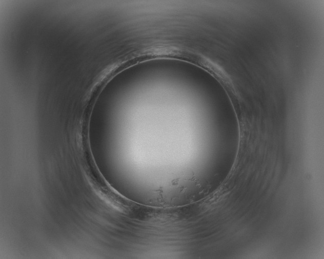 X0000068290155200604211146
