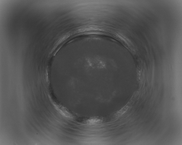 X0000068290158200604211146