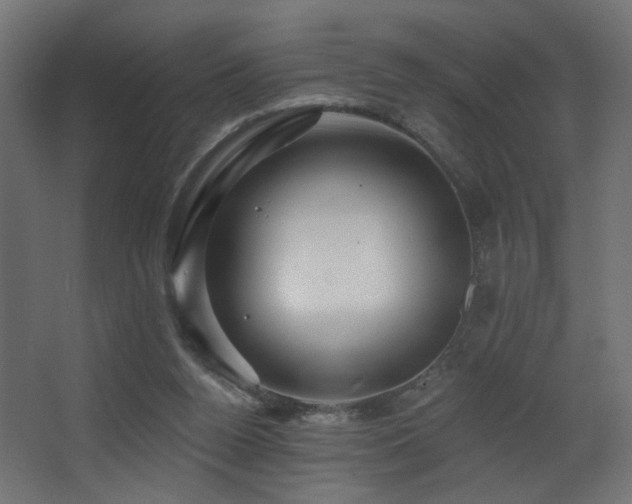 X0000068290160200604211146