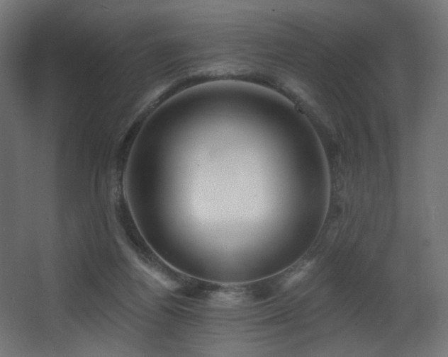 X0000068290164200604211146