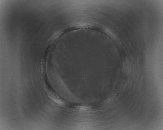 X0000068290165200604211146