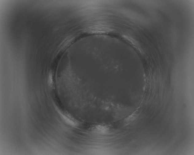 X0000068290166200604211146
