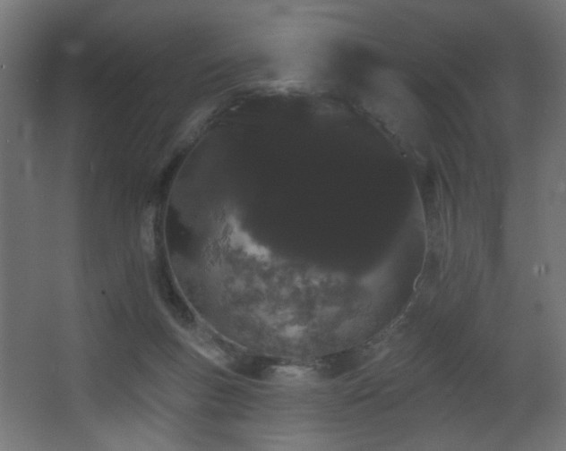 X0000068290167200604211146
