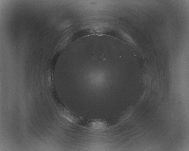 X0000068290169200604211146