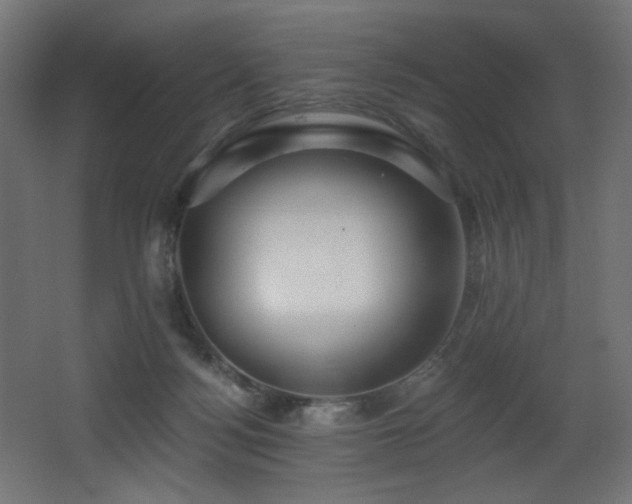 X0000068290172200604211146